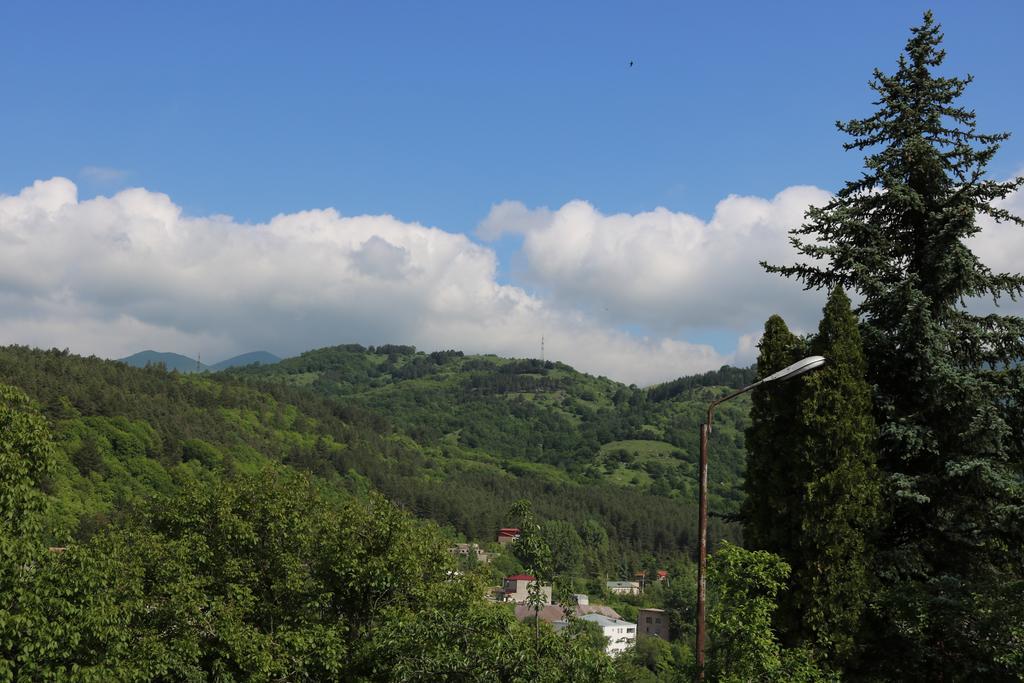 Dilijan Garden House Βίλα Εξωτερικό φωτογραφία